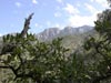 thumb-photo-000003.jpg