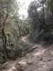 thumb-photo-000004.jpg