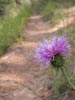 thumb-photo-000008.jpg
