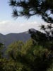 thumb-photo-000010.jpg