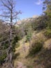 thumb-photo-000011.jpg