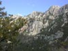 thumb-photo-000012.jpg