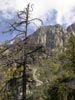 thumb-photo-000013.jpg