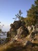 thumb-photo-000020.jpg