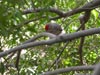 thumb-photo-000011.jpg