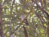 thumb-photo-000019.jpg