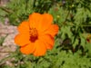 thumb-photo-000021.jpg