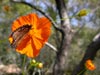 thumb-photo-000022.jpg
