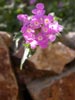 thumb-photo-000023.jpg
