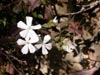 thumb-photo-000024.jpg