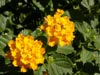 thumb-photo-000026.jpg