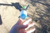 thumb-shoot-016.jpg